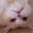 สมาชิกหมายเลข 1177786