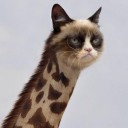 สมาชิกหมายเลข 937837