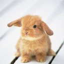 สมาชิกหมายเลข 1301614