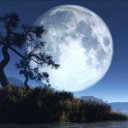 สมาชิกหมายเลข 1937386