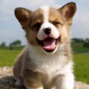 สมาชิกหมายเลข 1212948