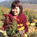 ขอลูกเล่นเน็ต