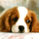 สมาชิกหมายเลข 1758214