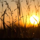 สมาชิกหมายเลข 2843095