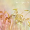 ผมคือพี่ผัดถั่ว(งอก)