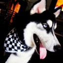 สมาชิกหมายเลข 815347