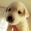 ทำไมไม่อ่อนโยน