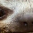 สมาชิกหมายเลข 2846848