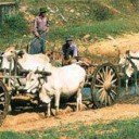 สมาชิกหมายเลข 765879