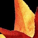 สมาชิกหมายเลข 815581