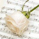 สมาชิกหมายเลข 816001