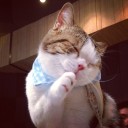 สมาชิกหมายเลข 1632977