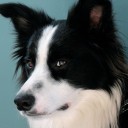 สมาชิกหมายเลข 2014380