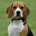 สมาชิกหมายเลข 2780710