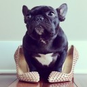 นางเอกขาวีน