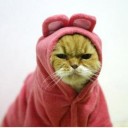 สมาชิกหมายเลข 744271