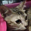 สมาชิกหมายเลข 716821