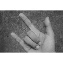 สมาชิกหมายเลข 1355736