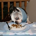 สมาชิกหมายเลข 1556740