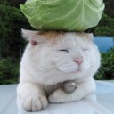 สมาชิกหมายเลข 3108698