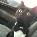 สมาชิกหมายเลข 718509