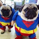 สมาชิกหมายเลข 1151576