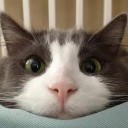 สมาชิกหมายเลข 1004542