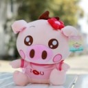 สมาชิกหมายเลข 2214401