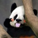 สมาชิกหมายเลข 812714