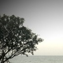 สมาชิกหมายเลข 817498