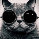 สมาชิกหมายเลข 817577