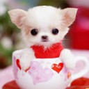 สมาชิกหมายเลข 1215224