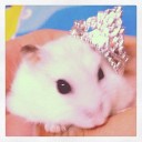 สมาชิกหมายเลข 1334456