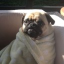 สมาชิกหมายเลข 1634565