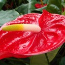 สมาชิกหมายเลข 3284464