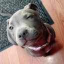 สมาชิกหมายเลข 748445