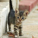 สมาชิกหมายเลข 817738