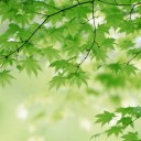 สมาชิกหมายเลข 1963646