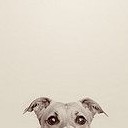 สมาชิกหมายเลข 2631733