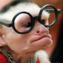 ลิงแว่น