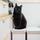 สมาชิกหมายเลข 818344