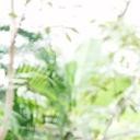 สมาชิกหมายเลข 1180755