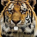 สมาชิกหมายเลข 2061270