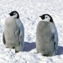 สมาชิกหมายเลข 818739