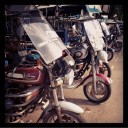 สมาชิกหมายเลข 1095320