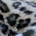 สมาชิกหมายเลข 1700867