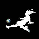 สมาชิกหมายเลข 2494440