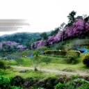 สมาชิกหมายเลข 1178146