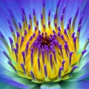 สมาชิกหมายเลข 1157200