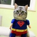 สมาชิกหมายเลข 749446